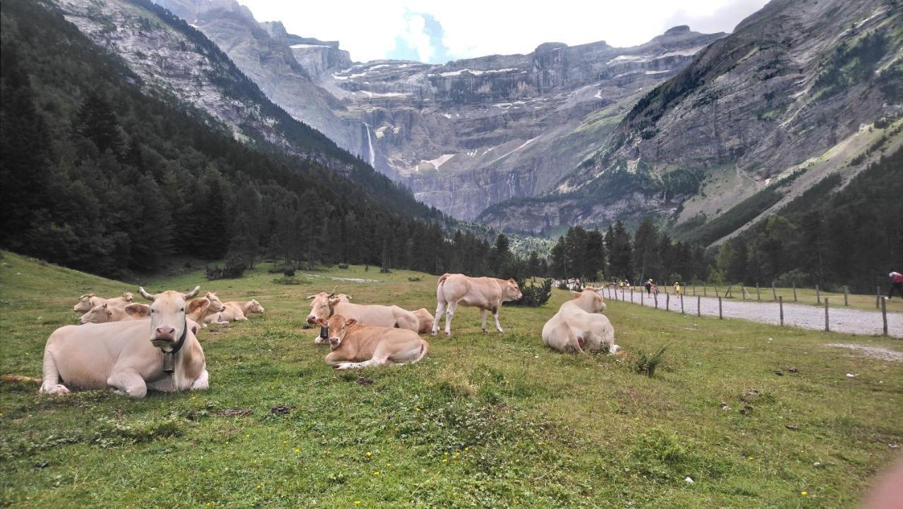 Studio En Pleine Montagne Avec Vue Sur Marmottes 拉姆吉 外观 照片