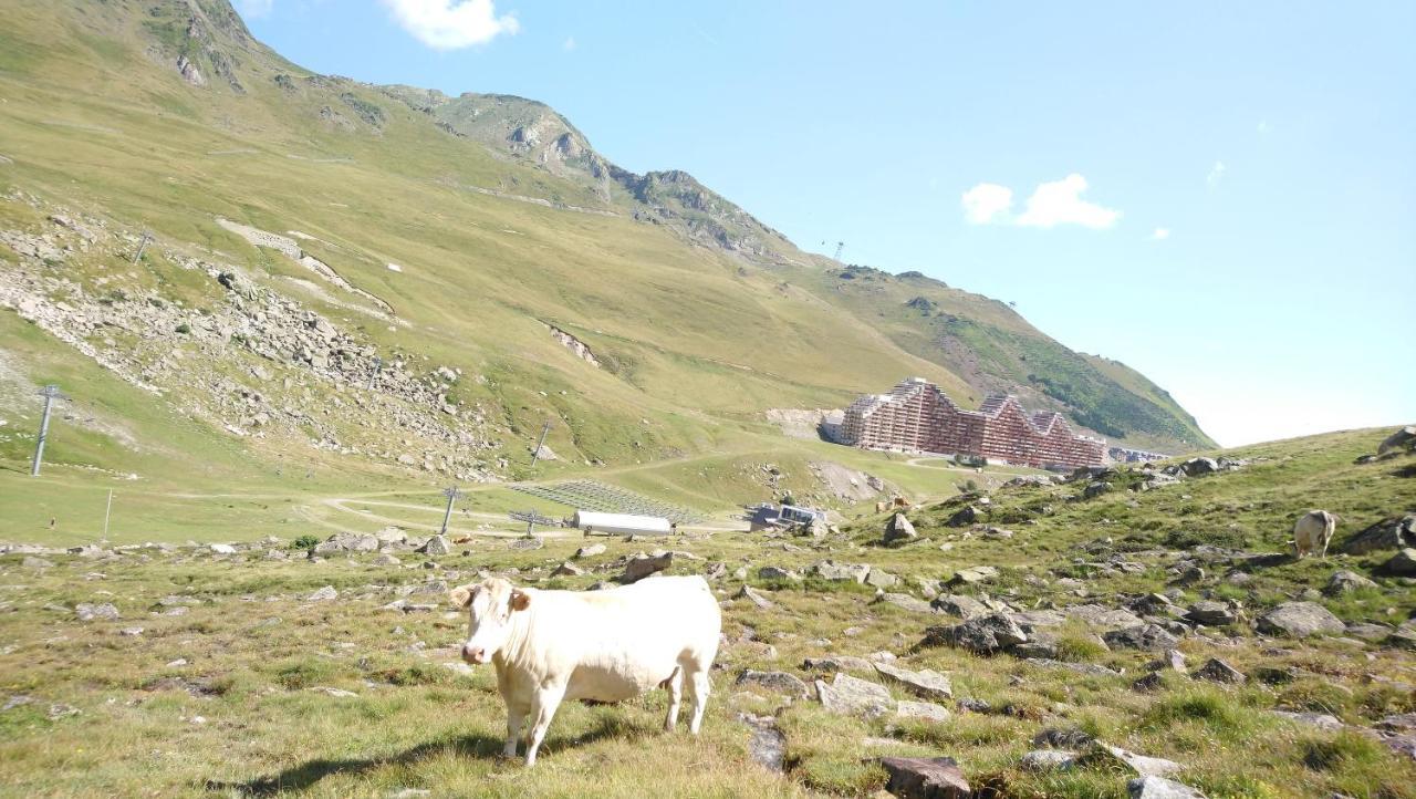 Studio En Pleine Montagne Avec Vue Sur Marmottes 拉姆吉 外观 照片