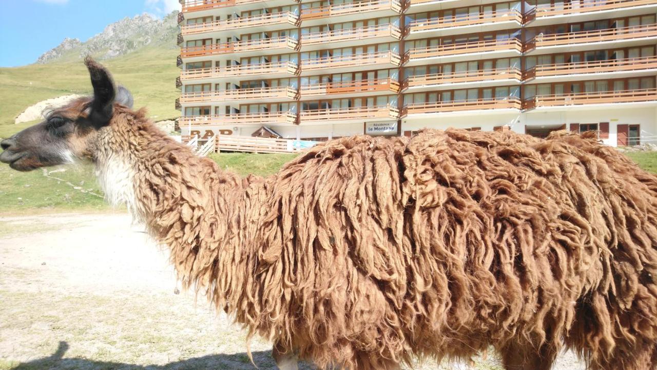 Studio En Pleine Montagne Avec Vue Sur Marmottes 拉姆吉 外观 照片