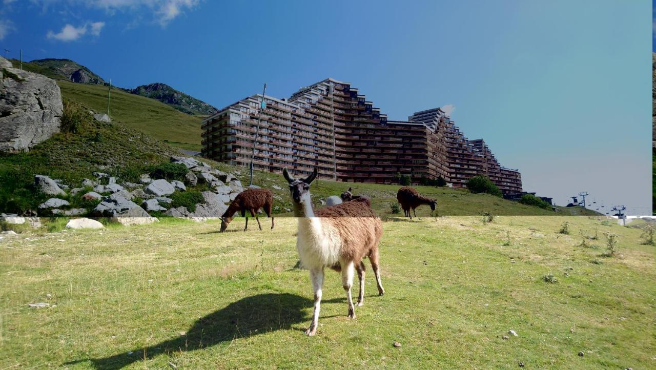 Studio En Pleine Montagne Avec Vue Sur Marmottes 拉姆吉 外观 照片
